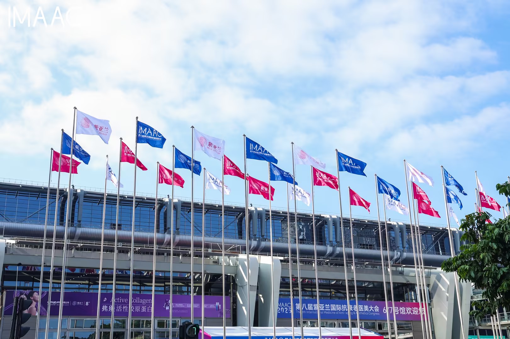 同齐医学闪耀亮相第八届紫